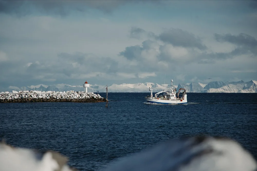 Andenes, Nordland
