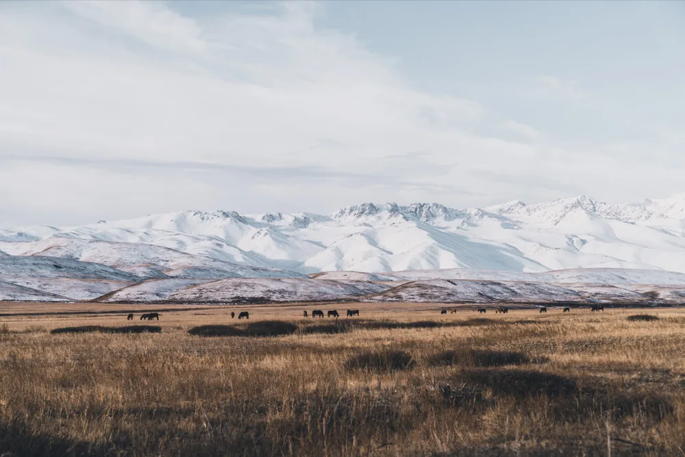 Suusamyr, Kyrgyzstan