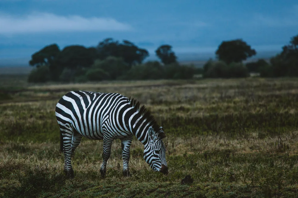 Ngorongoro, Tanzania