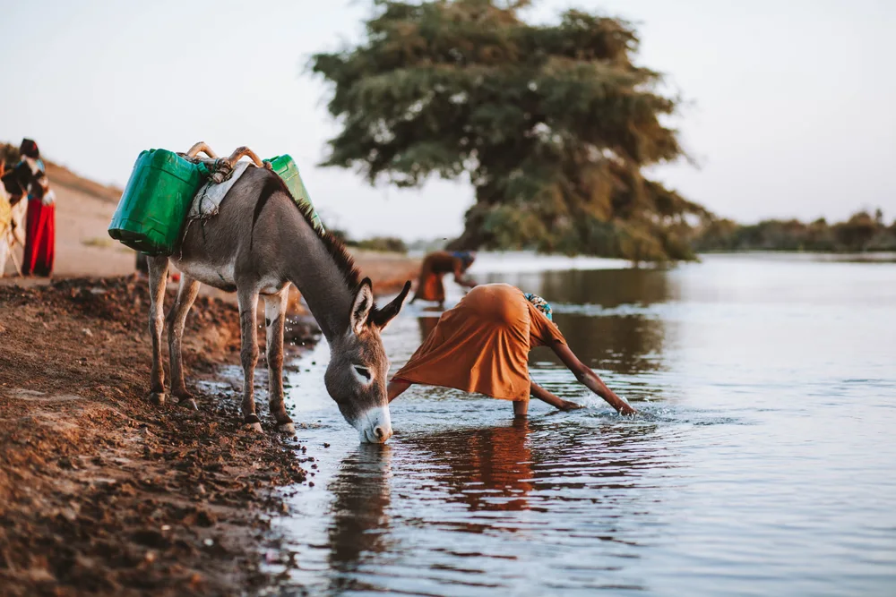 Sudan