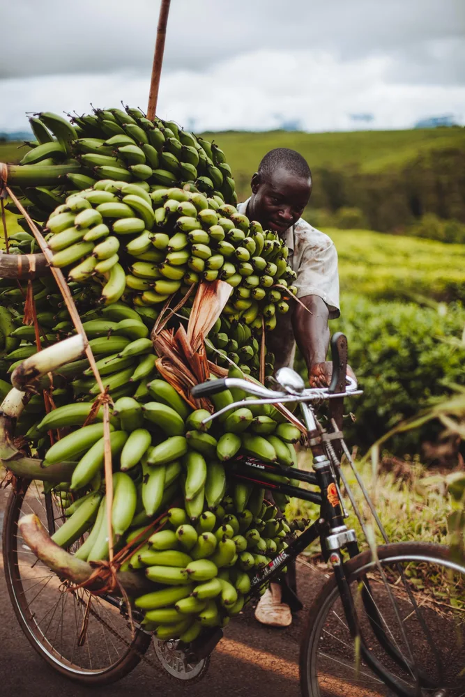 Tanzania