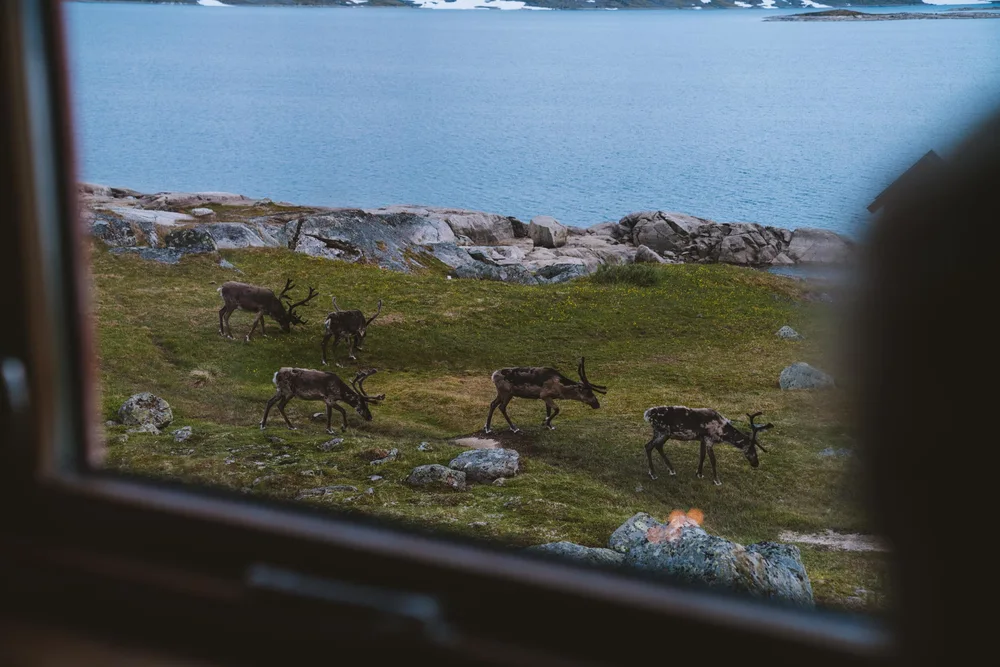 Gautelishytta, Nordland